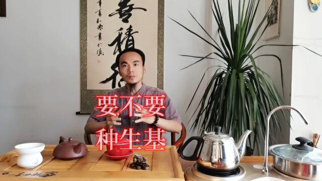 王炳程老师:能不能种生基?要不要种生基?