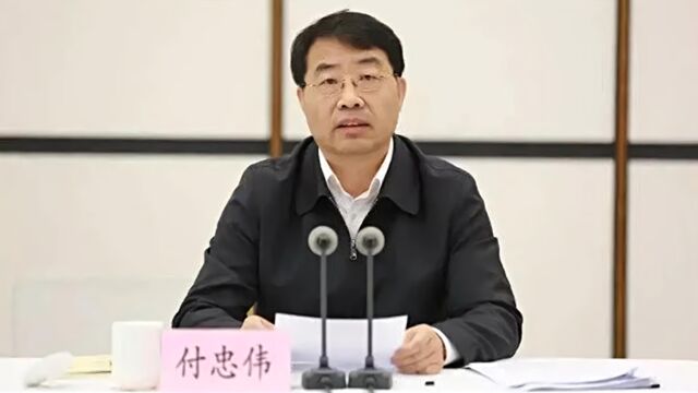 非法收受巨额财物,沈阳市人大常委会原主任付忠伟被“双开”