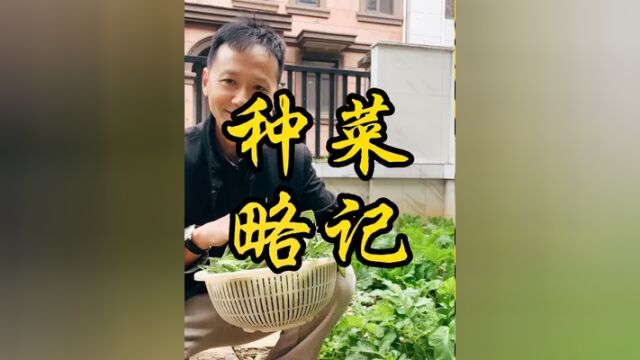 蔬菜不打农药,能上餐桌吗?#自己种的纯天然的绿色蔬菜 #纯天然绿色蔬菜