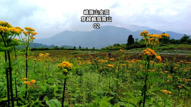 峨眉山金顶穿越峨眉南山2,风景绝美马上成景区收费了,要去趁早