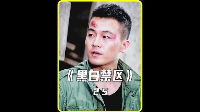 谭氏集团彻底覆灭#黑白禁区