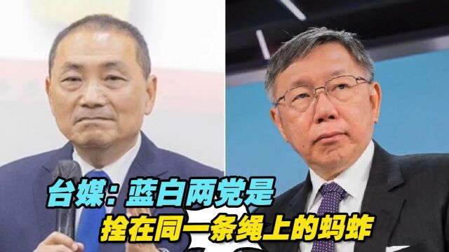 台媒:蓝白两党是拴在同一条绳上的蚂蚱,谁也脱离不了谁