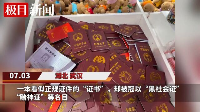 【视频】低俗“恶搞证件”悄然流行,家长担心对孩子有不良影响