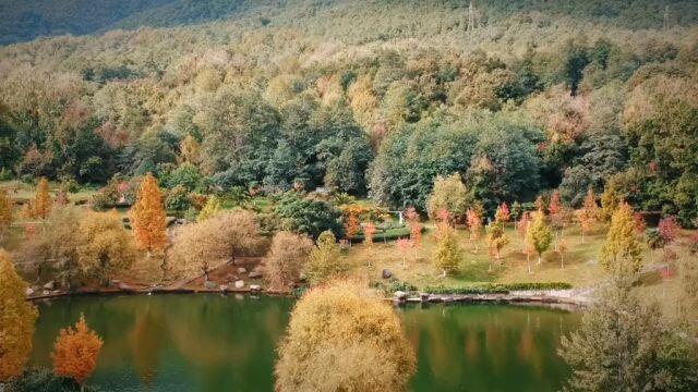 大理的秋天 缓缓飘落的枫叶像思念,我点燃烛火温暖岁末的秋天