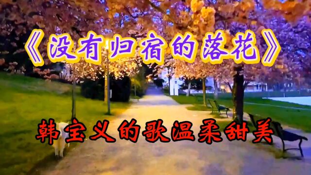 《没有归宿的落花》韩宝仪的歌,很甜美,很温柔,唱的非常动听,永远的最爱