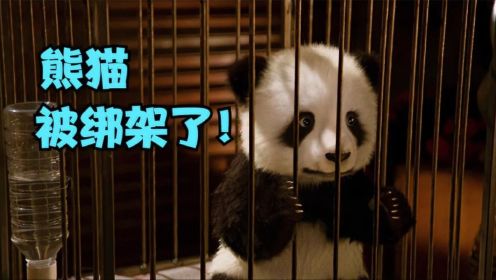喜剧电影《汪星卧底》 熊猫被劫匪绑架了，为了救它出来，警犬参加比赛，竟然还输给了萌宠！