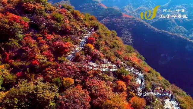 【“我们身边的作家”第864期】“万景”采风行(4)“万景”感怀九首(作者/赵林)