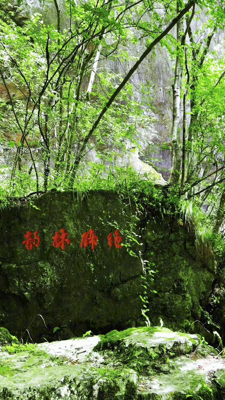 房县野人谷景区绝壁林韵景点,险山峻岭,陡峭壮观