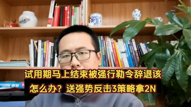 试用期马上结束被强行勒令辞退该怎么办?送强势反击3策略拿2N