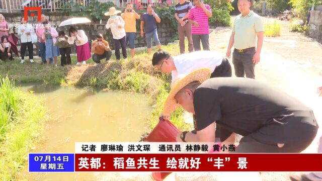 英都:稻鱼共生 绘就好“丰”景