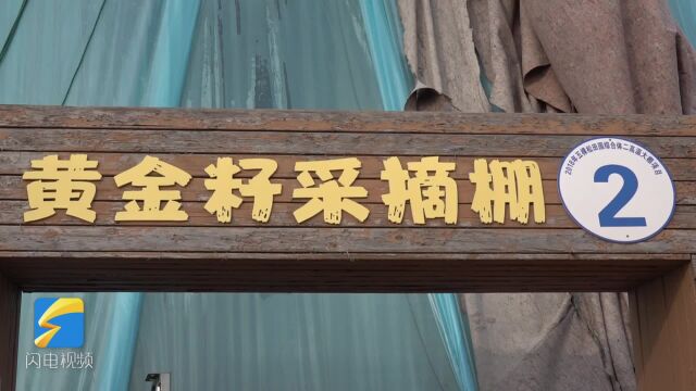 昌乐:返乡创业青年投身乡村振兴热潮 直播带货“新农活”助力优质农品销全国