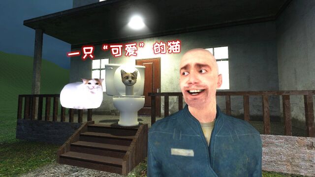 GMOD游戏动画:我找到了一只可爱的猫咪,但是是马桶猫