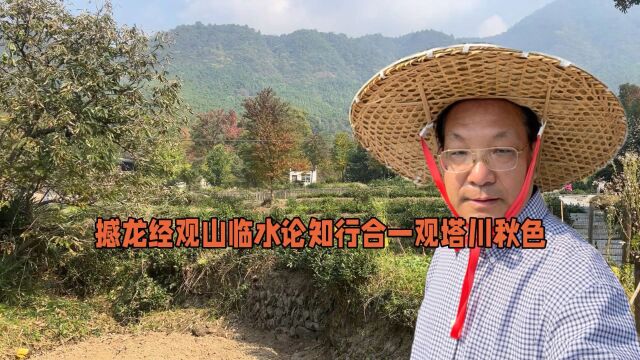 撼龙经观山临水知行合一行胜于言观塔川秋色