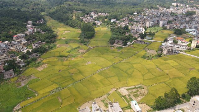 乡村行164广西兴业县小平山镇