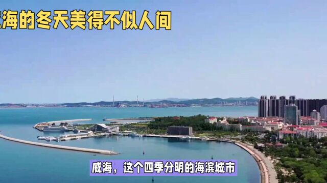 威海雪海交融,冬季美如童话