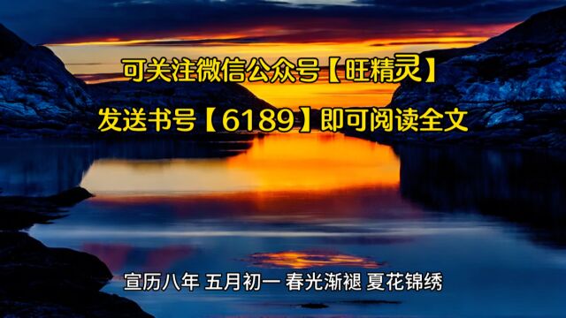 我都腰缠万贯了,谁还去做官啊(傅状元小说)◇全文阅读无弹窗