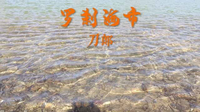 刀郎歌曲《罗刹海市》