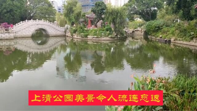 上清公园美景令人流连忘返