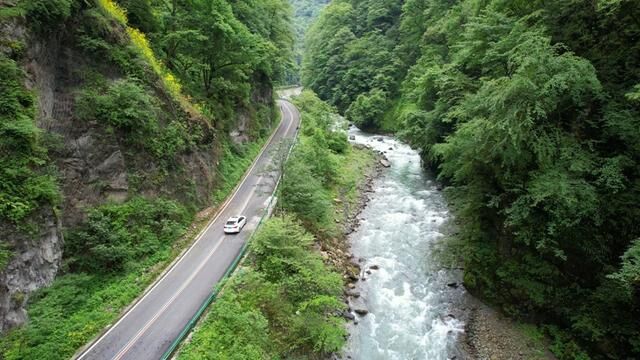 这个暑假带上家人朋友来二郎山喇叭河景区避暑.这儿有仅23度的绝美山谷,植被覆盖率高达90% .#永远可以相信喇叭河的夏天