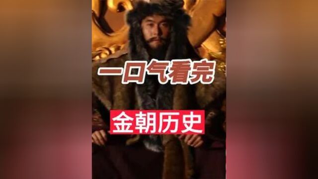 一口气看完金朝119年历史,蒙古为何这么强大6