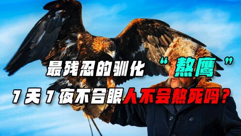 熬鹰究竟有多残忍?一人一鹰七天不合眼,人会被熬死吗?_高清1080P在线观看平台_腾讯视频