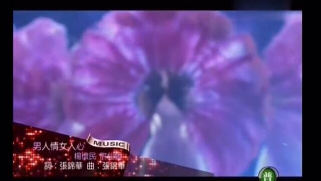 万秀猪王:许仙姬/杨怀民#闽南语歌曲 #综艺剪辑