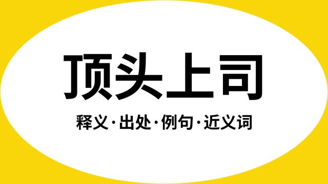 “顶头上司”是什么意思?