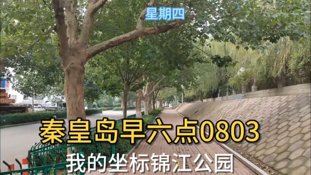 我的坐标秦皇岛早六点0803