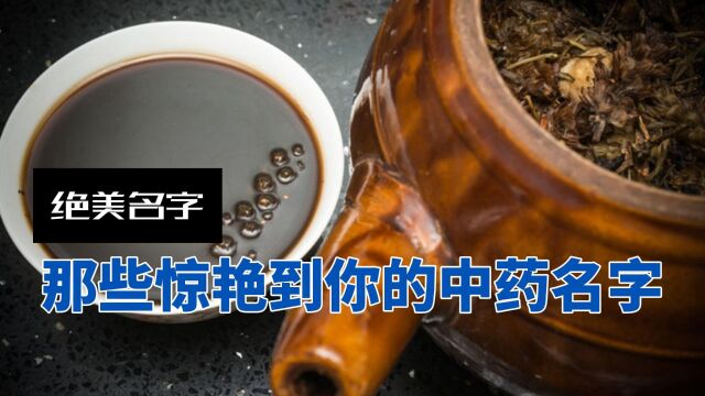 老祖宗有多会取名?电视剧中很多人名都来源于草药,你知道几个?