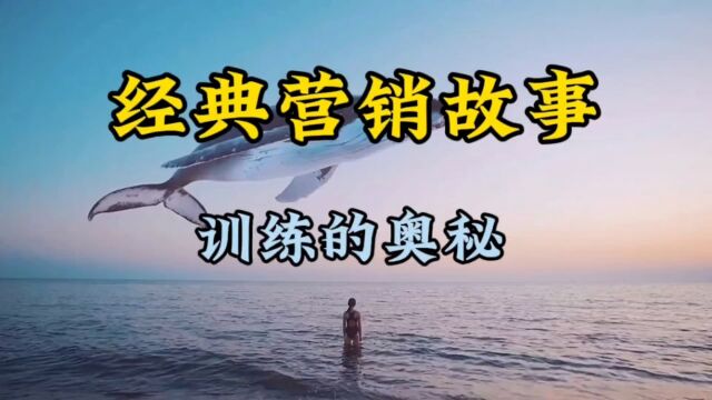 经典营销故事,训练的奥秘