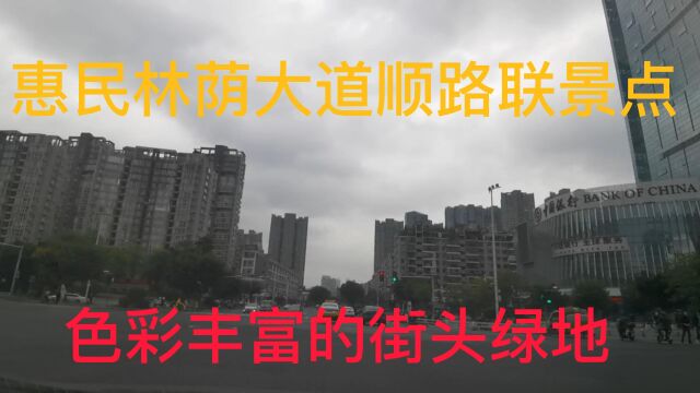 实拍福州长乐路,惠民林荫大道顺路联景点,色彩丰富的街头绿地