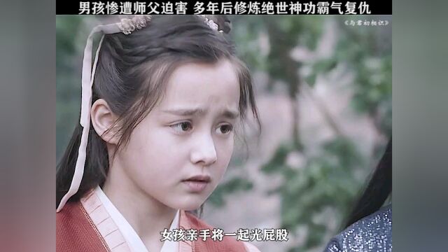 与君初相识:男孩惨遭师傅迫害,多年后练成绝世神功霸气复仇