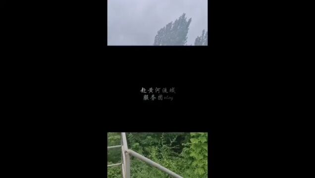 青岛农业大学植物医学学院赴黄河流域实践服务团“三下乡”社会实践活动圆满结束