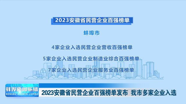 2023安徽省民营企业百强榜单发布 我市多家企业入选