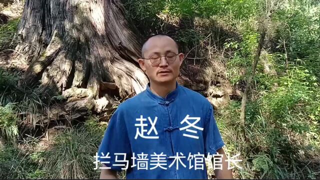 赵冬 | 驻留在剑阁乡下的艺术家 徐之腾拍于四川广元剑阁县普安镇凉山乡拦马墙.