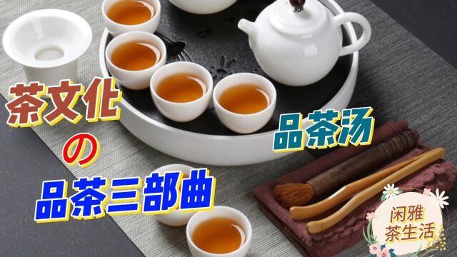 茶文化之品茶三部曲(品茶汤)