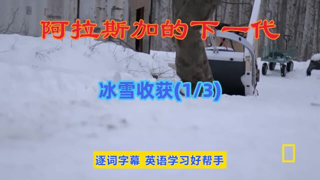 阿拉斯加的下一代 | 冰雪收获(1/3) | 英语纪录片