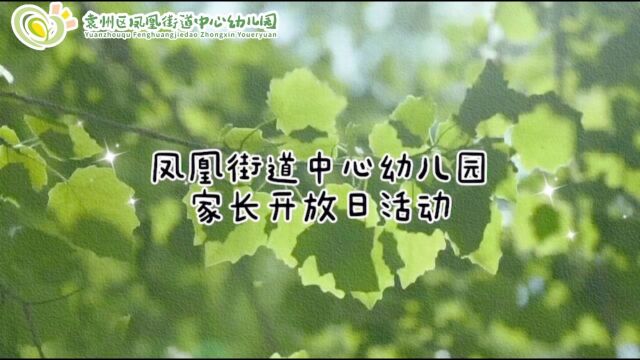 凤凰街道中心幼儿园家长开放日