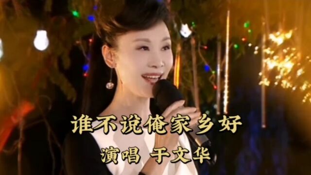 经典歌曲《谁不说俺家乡好》于文华演唱