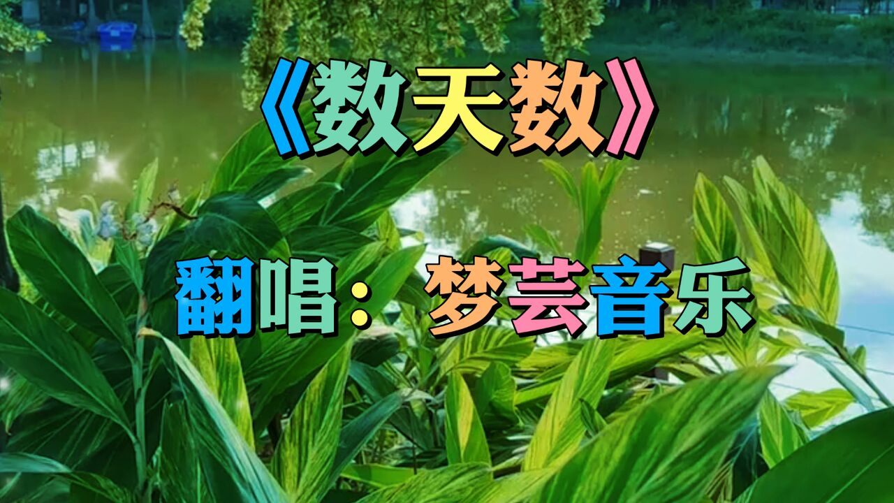 一首好听的歌《数天数》经典好听,人生苦又短,享受一天是一天,还有