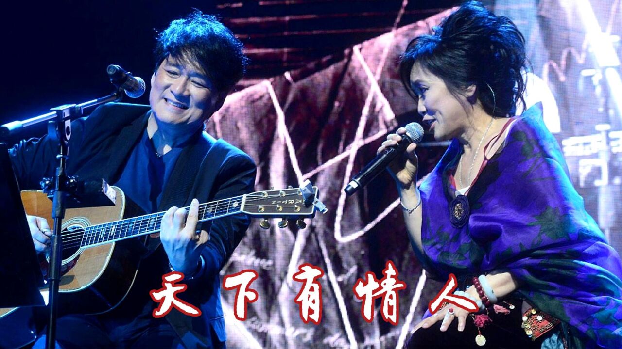 【经典老歌】周华健 齐豫《天下有情人》两位大师的神组合无法超越!