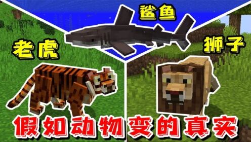我的世界:假如MC的动物变的真实,每种生物都有独特习性!_高清1080P在线观看平台_腾讯视频