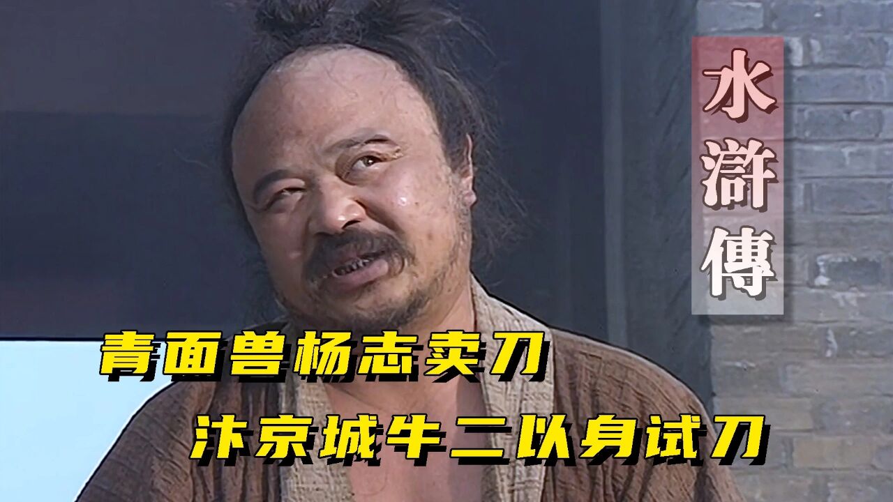 水浒传;青面兽杨志卖刀 汴京城牛二归位