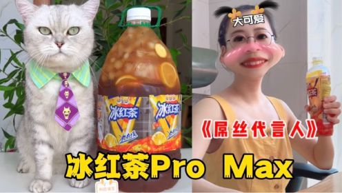 猫王：打工人必备冰红茶Pro Max
