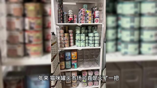  有什么猫咪喜欢吃的猫罐头牌子吗?猫咪喜欢吃的猫罐头品牌分享 