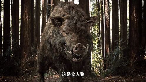 恐怖电影《食人猪》400多公斤的变异野猪,真的太吓人了