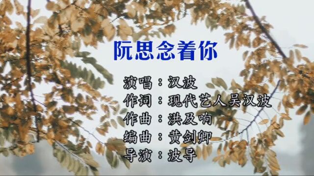 汉波  阮思念着你 KTV版 KARAOKE HD MV[闽南语.思念.新歌]