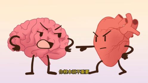大脑和心脏哪个更重要？
