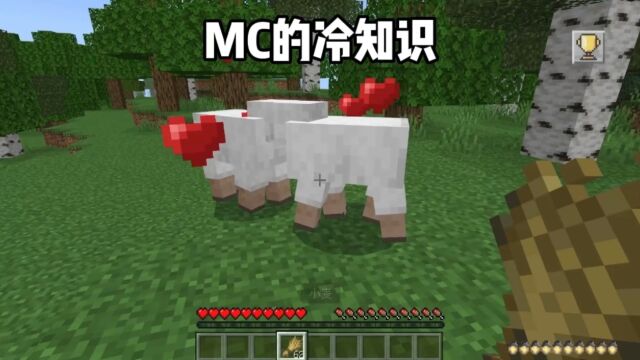 我的世界:MC的冷知识