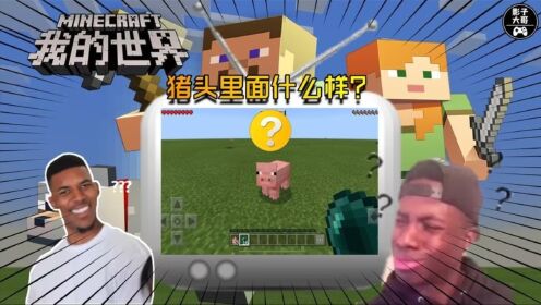 猪头里面什么样？-我的世界-Minecraft-MC_高清1080P在线观看平台_腾讯视频